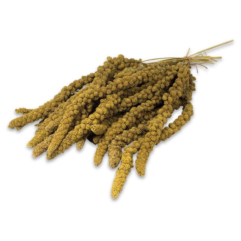 JR Farm Yellow Foxtail Millet || undefined || view 2