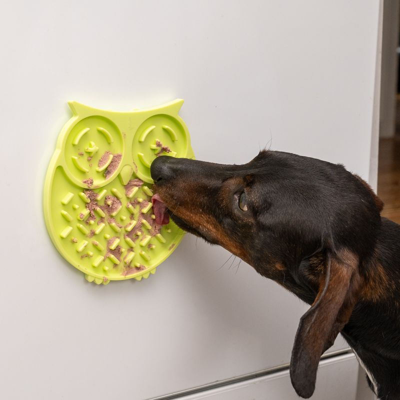 TIAKI Owl Lick Mat || TIAKI || view 9