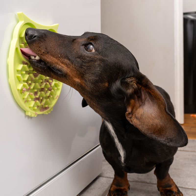 TIAKI Owl Lick Mat || TIAKI || view 3