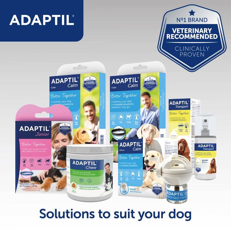 ADAPTIL® Calm Collar || Adaptil || view 14