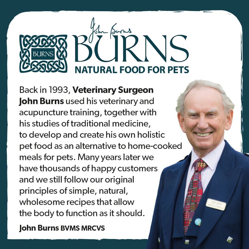 Burns Active Working - Chicken & Rice || Burns || view 8