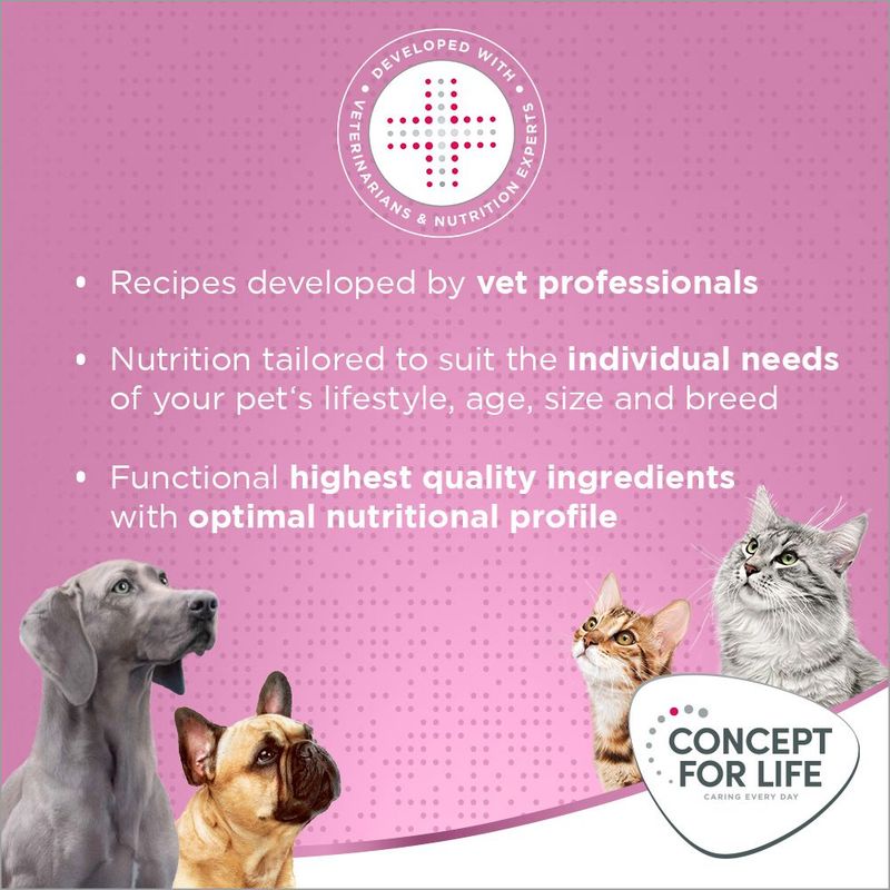 Concept for Life Kitten || Concept for Life || view 14