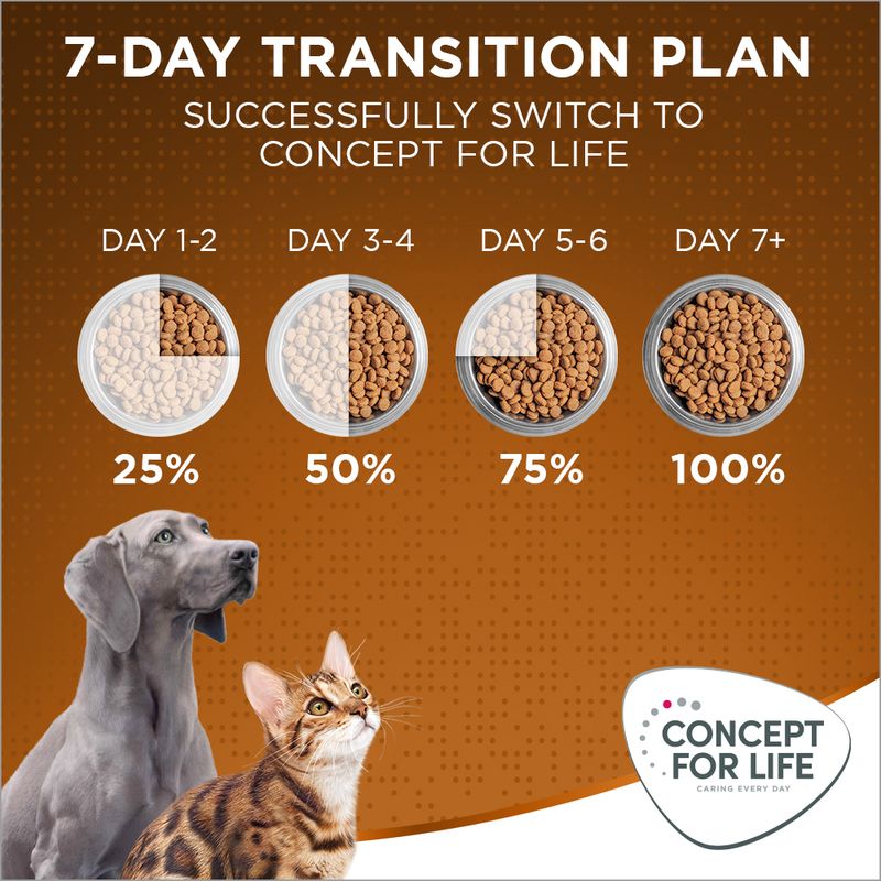 Concept for Life Medium Adult || Concept for Life || view 14