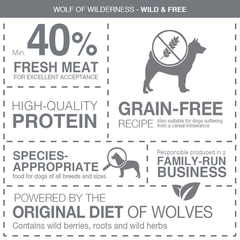 Wolf of Wilderness Junior 'Green Fields' - Lamb || Wolf of Wilderness || view 2