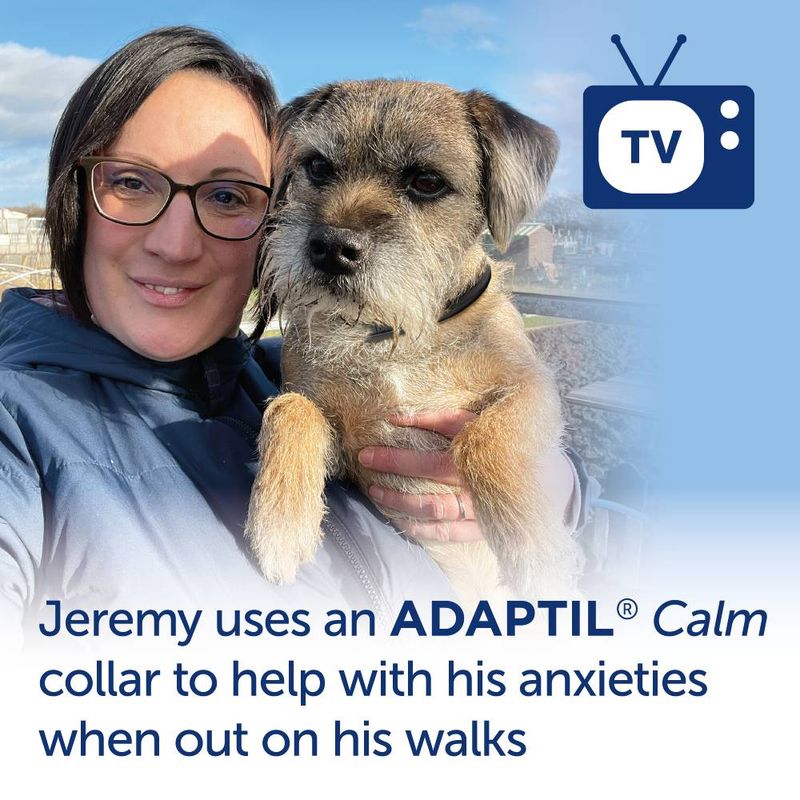 ADAPTIL® Calm Collar || Adaptil || view 4