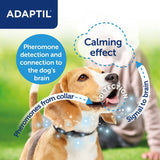 ADAPTIL® Calm Collar || Adaptil || view 5