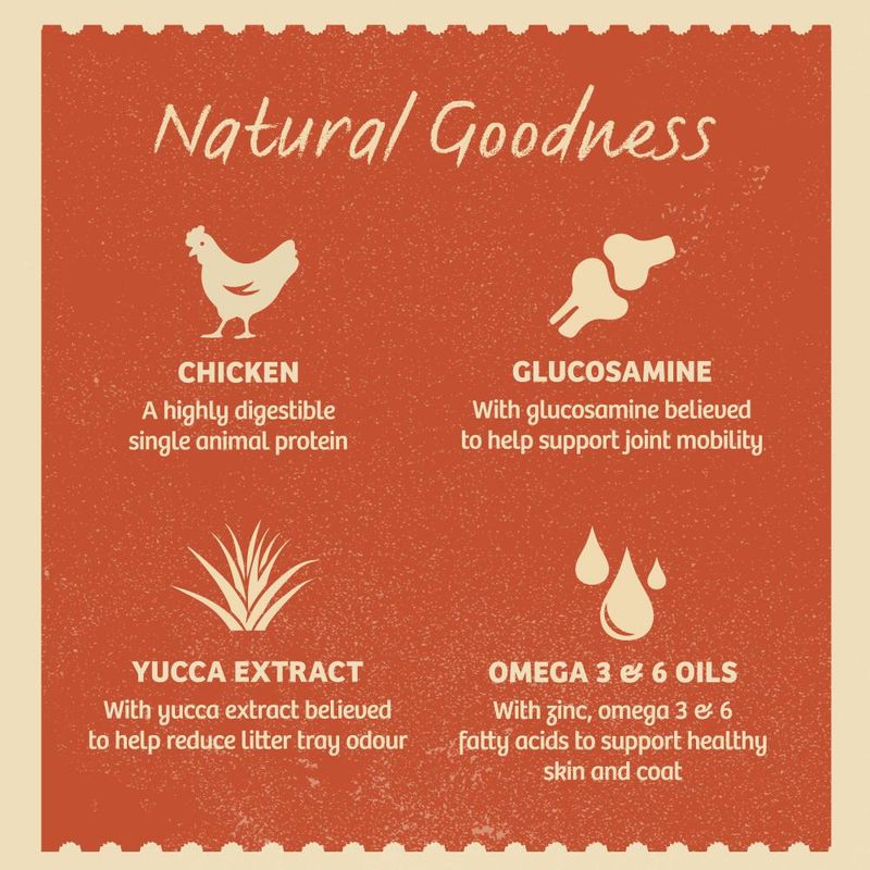 James Wellbeloved Senior Cat Hypoallergenic Pouches - Chicken in Jelly || James Wellbeloved || view 3