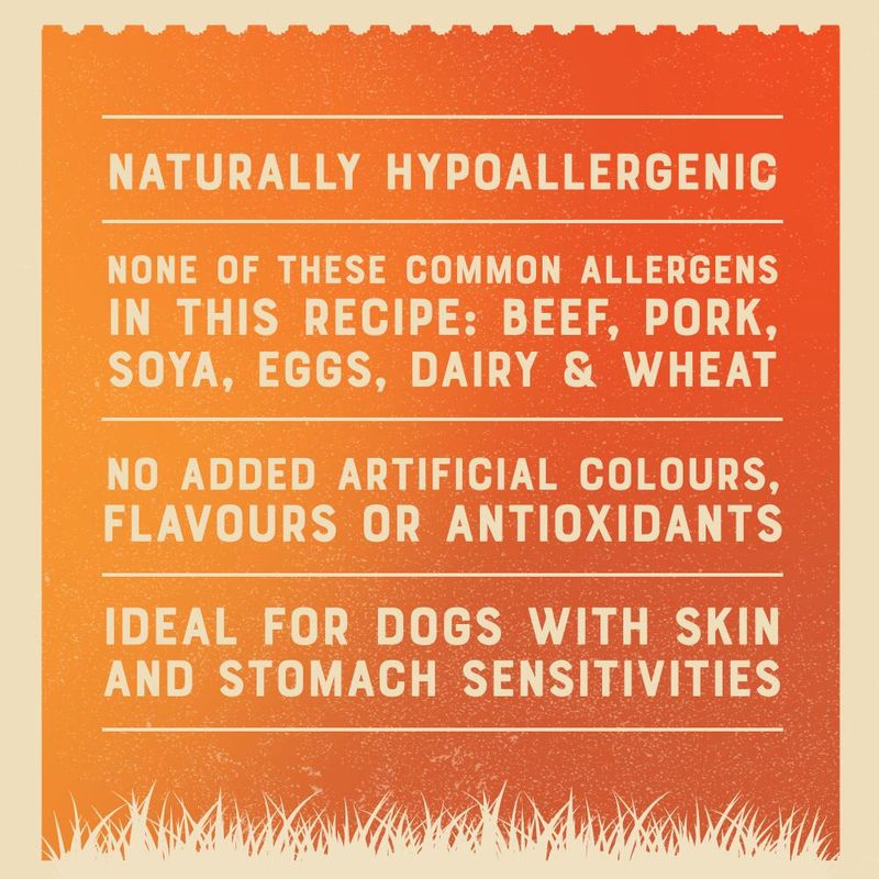 James Wellbeloved Adult Hypoallergenic Cans - Turkey, Lamb & Chicken in Loaf || James Wellbeloved || view 7