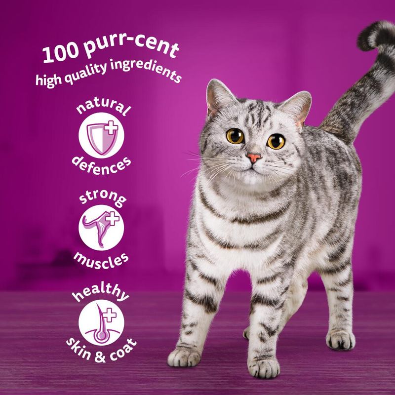 Whiskas 1+ Mixed Menu in Jelly || undefined || view 3