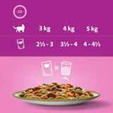 Whiskas 1+ Tasty Mix Chef's Choice in Gravy || undefined || view 6