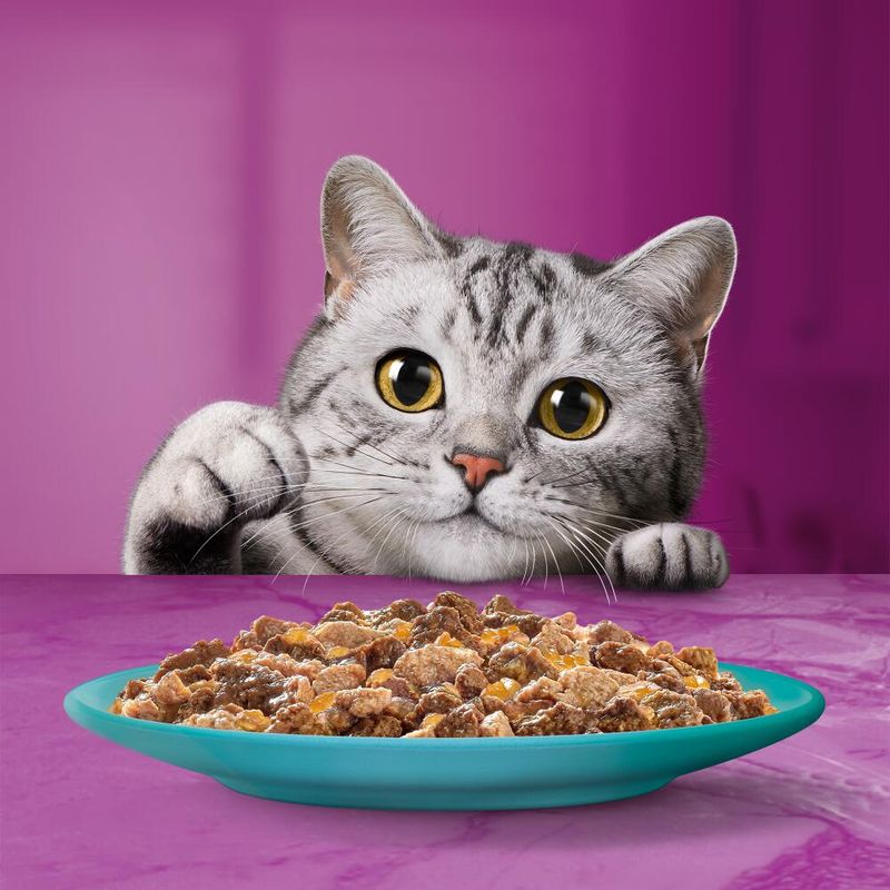 Whiskas 1+ Duo Ocean Delights in Jelly || undefined || view 7