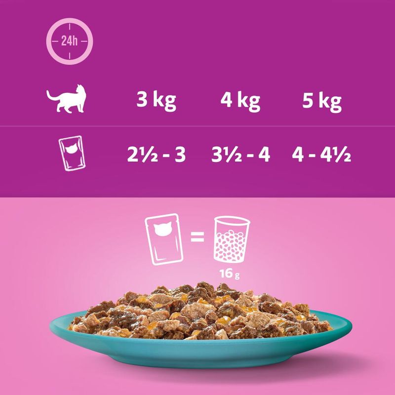 Whiskas 1+ Duo Ocean Delights in Jelly || undefined || view 5