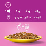 Whiskas 1+ Poultry Feasts in Gravy || undefined || view 6