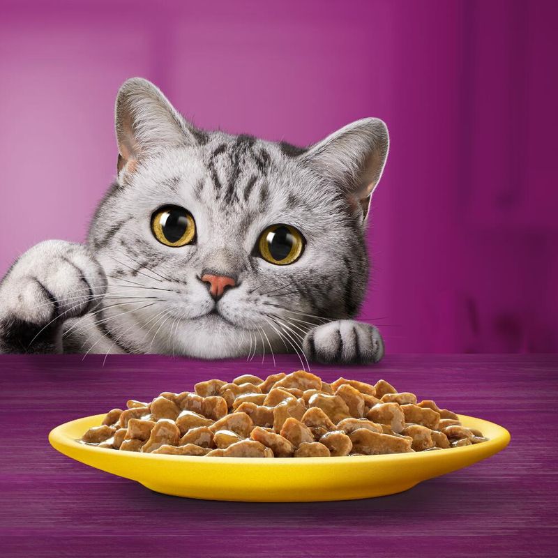 Whiskas 7+ Senior Pouches in Gravy || undefined || view 8