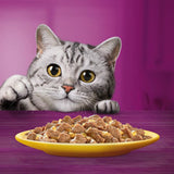 Whiskas 11+ Senior Pouches in Jelly || undefined || view 7