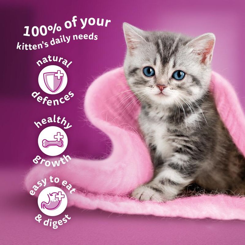 Whiskas Kitten Pouches in Jelly || undefined || view 5