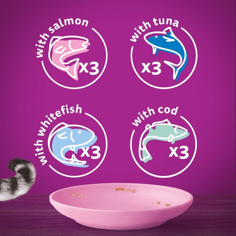 Whiskas Kitten Pouches in Jelly || undefined || view 2