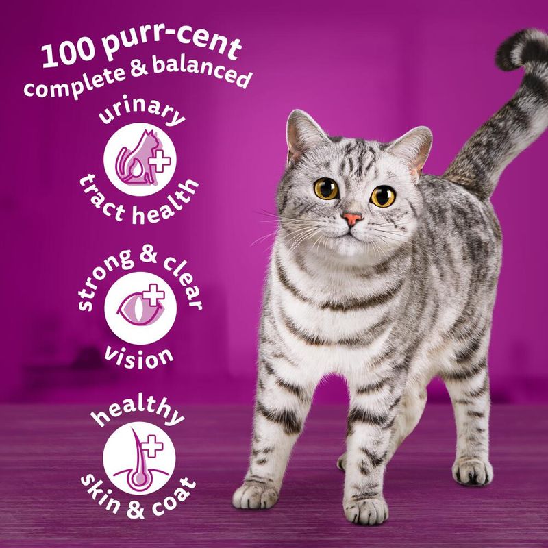 Whiskas 1+ Lamb || Whiskas || view 4