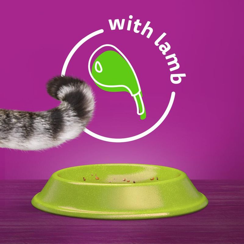 Whiskas 1+ Lamb || Whiskas || view 2