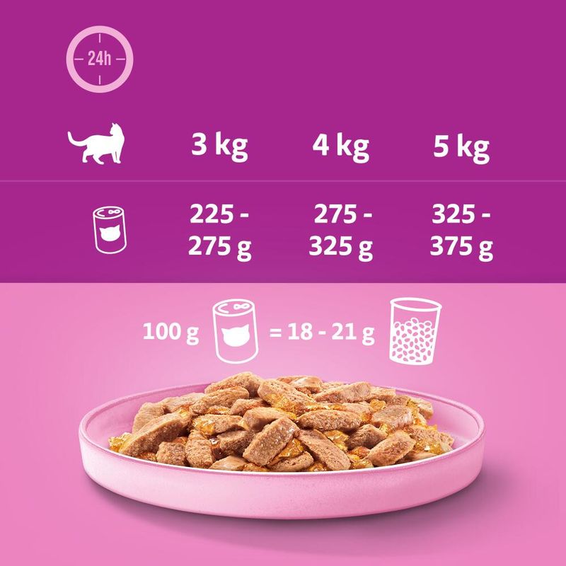 Whiskas 1+ Cans Saver Pack 24 x 400g || undefined || view 13