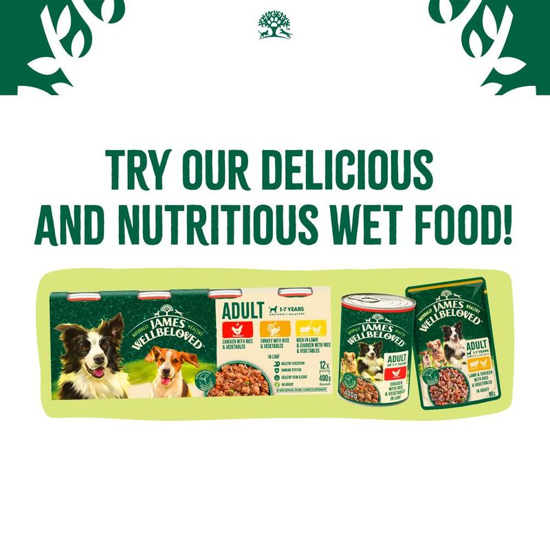 James Wellbeloved Puppy Dog Hypoallergenic Turkey & Rice || James Wellbeloved || view 13