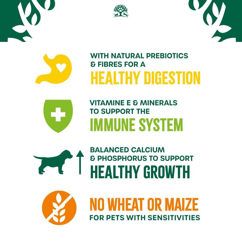 James Wellbeloved Puppy Hypoallergenic  - Lamb & Rice || James Wellbeloved || view 7