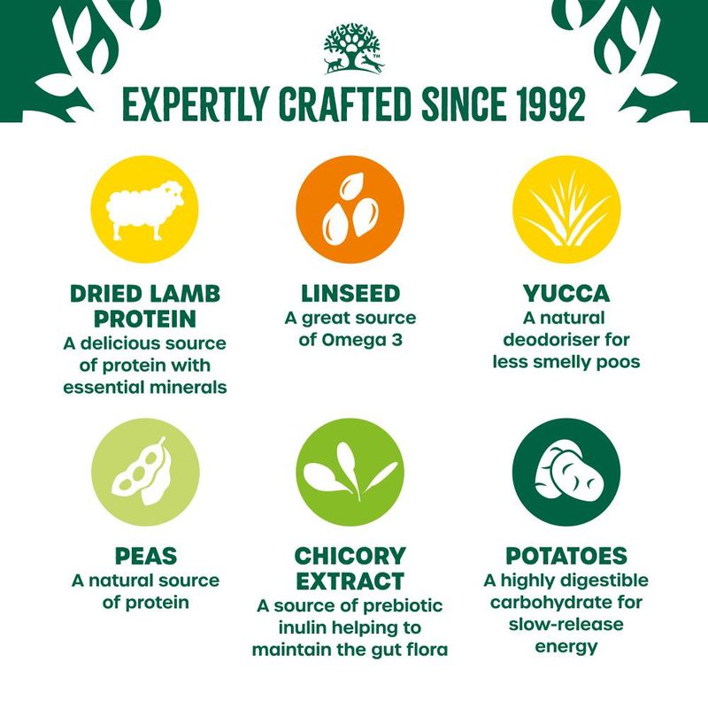 James Wellbeloved Grain Free Adult Dog Hypoallergenic Lamb & Vegetables || James Wellbeloved || view 3