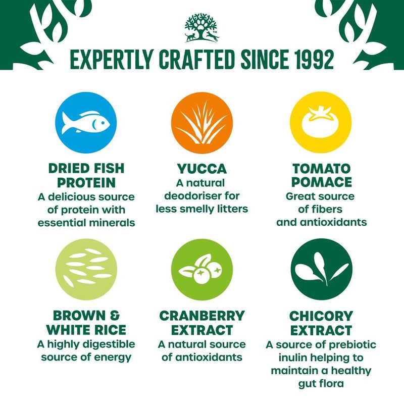 James Wellbeloved Kitten Hypoallergenic - Fish || James Wellbeloved || view 3