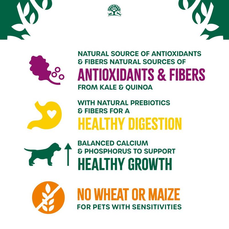 James Wellbeloved Puppy/Junior Hypoallergenic Superfoods - Turkey with Kale & Quinoa || James Wellbeloved || view 7