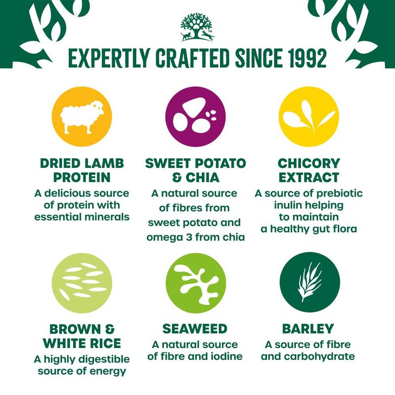 James Wellbeloved Adult Hypoallergenic Superfoods - Lamb with Potato & Chia || James Wellbeloved || view 5