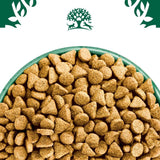 James Wellbeloved Adult Hypoallergenic Superfoods - Lamb with Potato & Chia || James Wellbeloved || view 6