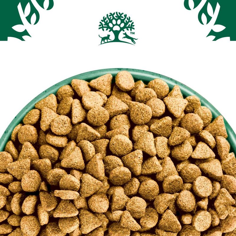 James Wellbeloved Adult Hypoallergenic Superfoods - Lamb with Potato & Chia || James Wellbeloved || view 6