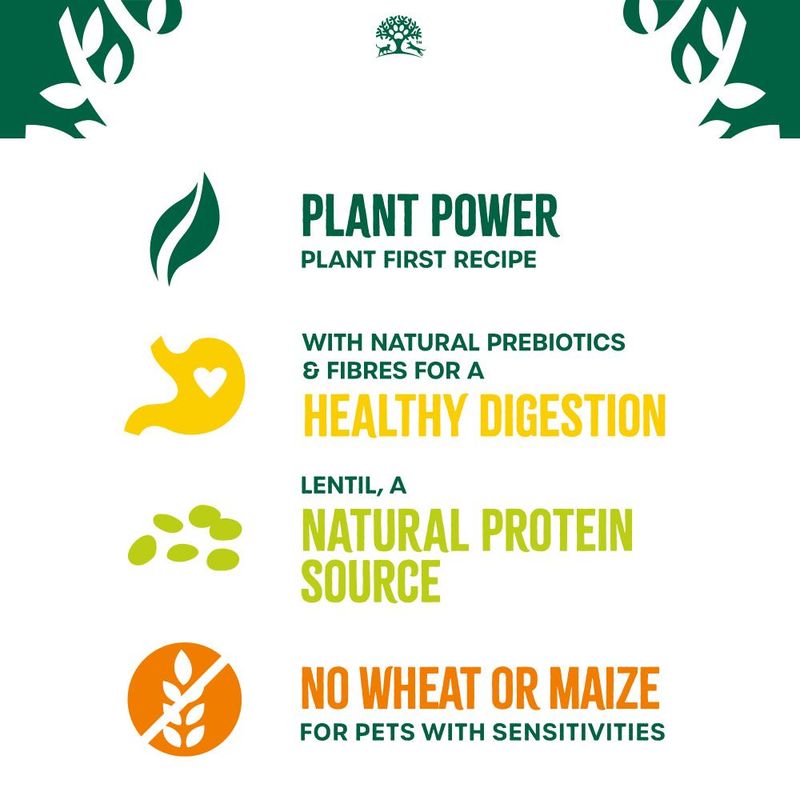 James Wellbeloved Adult Dog Hypoallergenic Plant Power Lamb & Lentils || James Wellbeloved || view 9