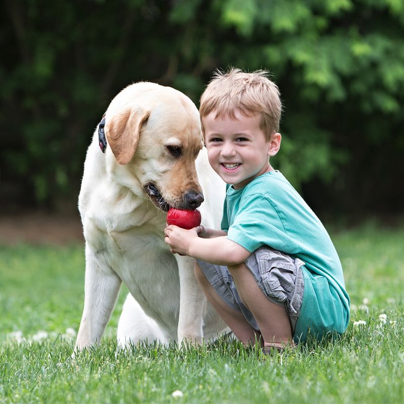 KONG Classic || KONG || view 5