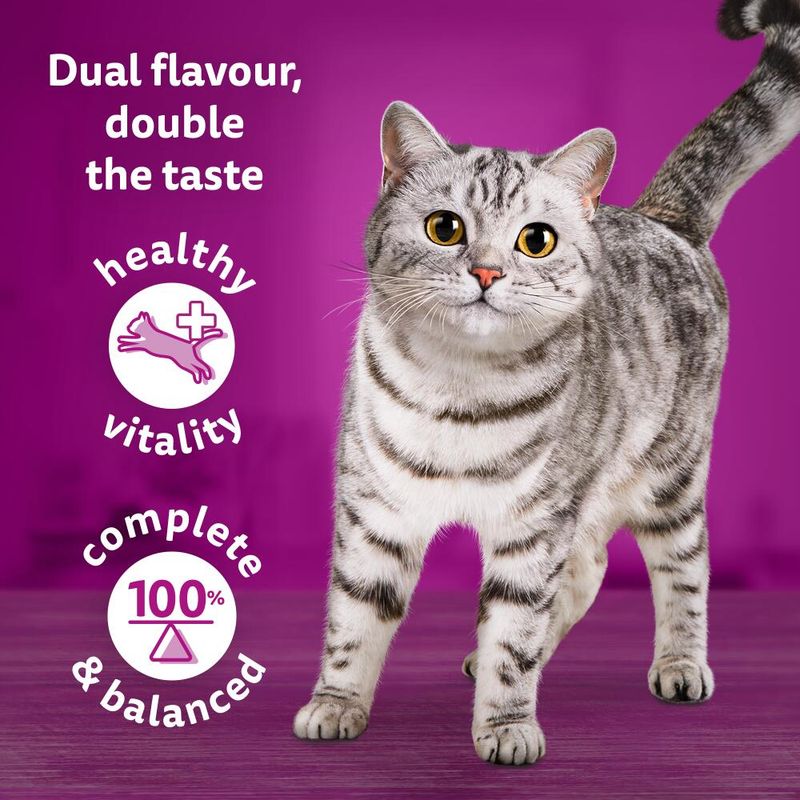 Whiskas 1+ Duo Mixed Medley in Jelly || undefined || view 5