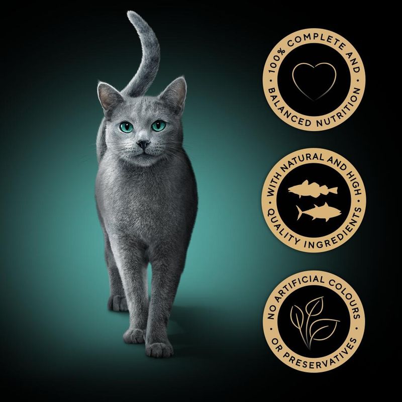 Sheba Fresh & Fine in Gravy Mini Pouches 6 x 50g || Sheba || view 5