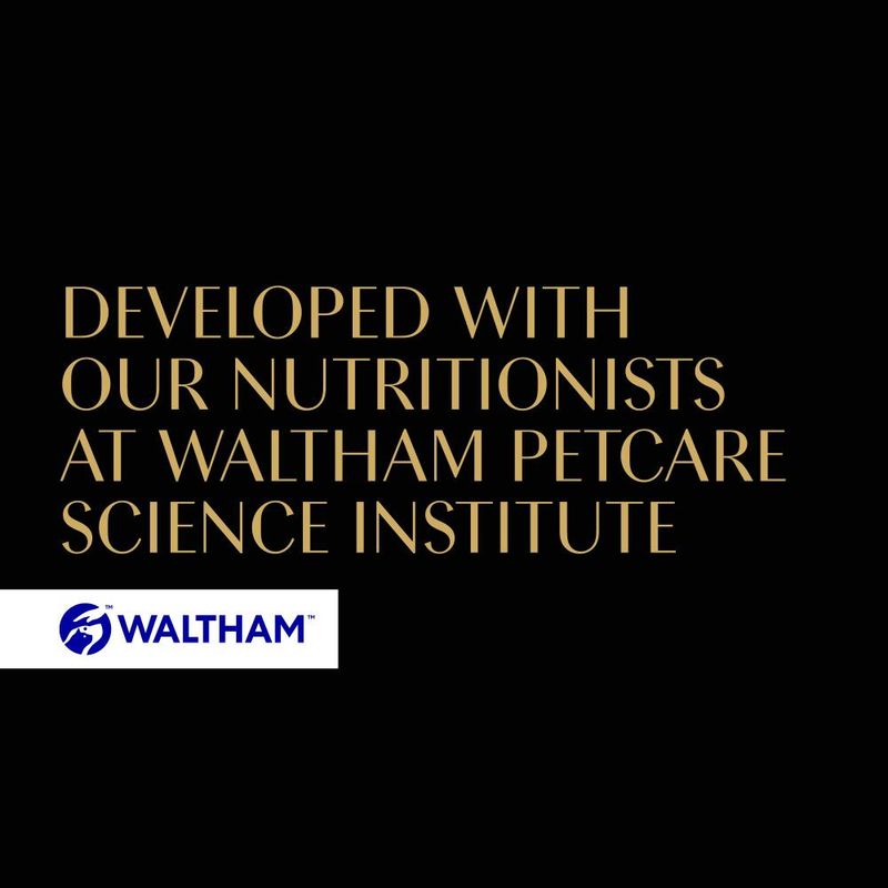 Sheba Fresh & Fine in Gravy Mini Pouches 6 x 50g || Sheba || view 25