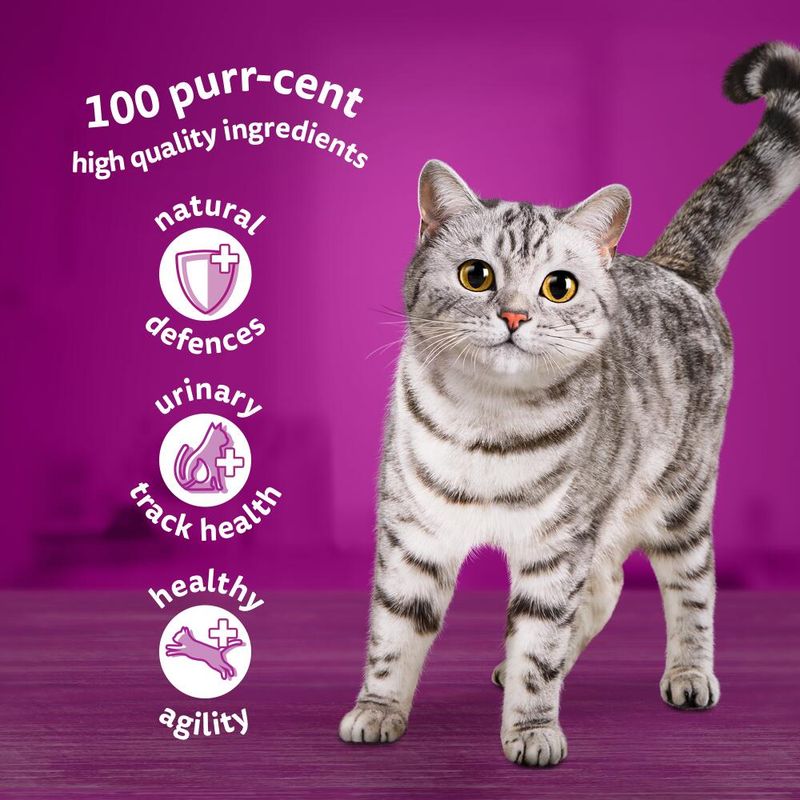 Whiskas 7+ Senior Pouches in Jelly || undefined || view 6