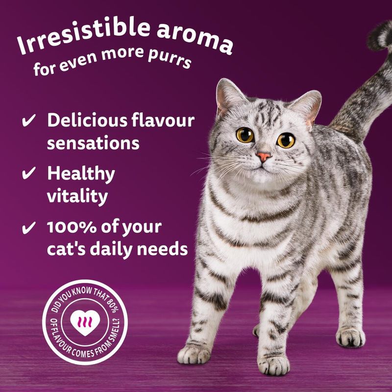 Whiskas 1+ Aromatic Selection Seafood Delight in Gravy || Whiskas || view 3