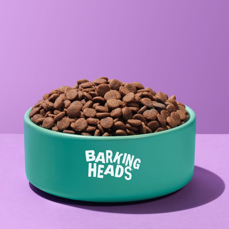 Barking Heads All Hounder Golden Years Chicken || barking heads || view 8