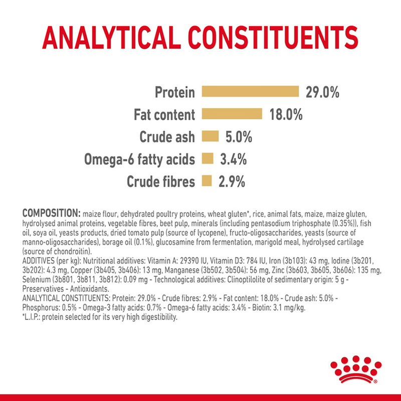 Royal Canin Yorkshire Terrier Adult 8+ || Royal Canin Breed || view 6