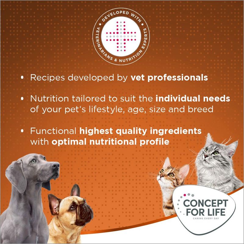 Concept for Life Outdoor Cats || undefined || view 11