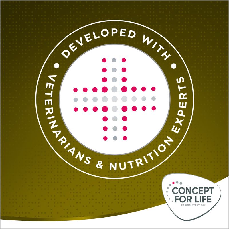 Concept for Life Mini Senior || Concept for Life || view 9
