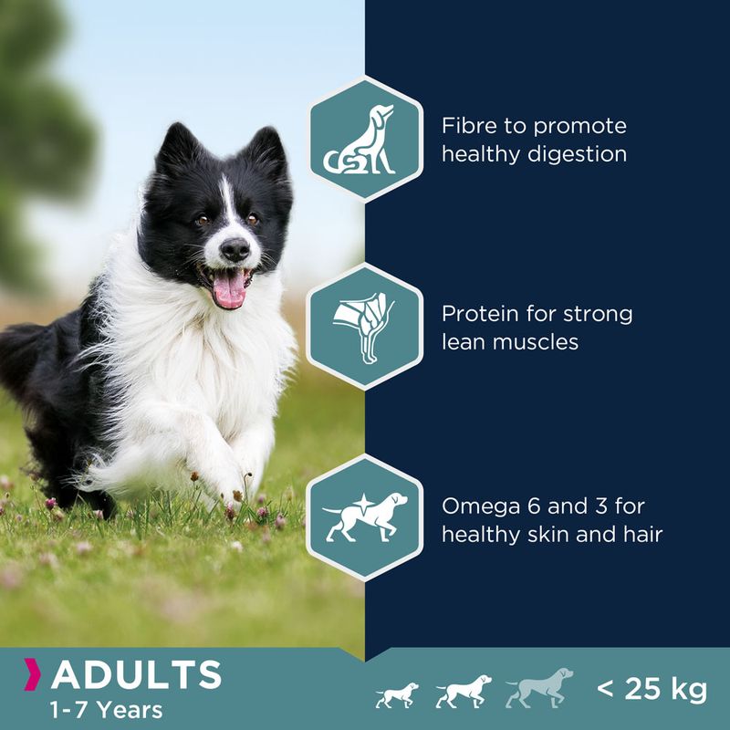 Eukanuba Small & Medium Breed Adult - Lamb & Rice || Eukanuba || view 3