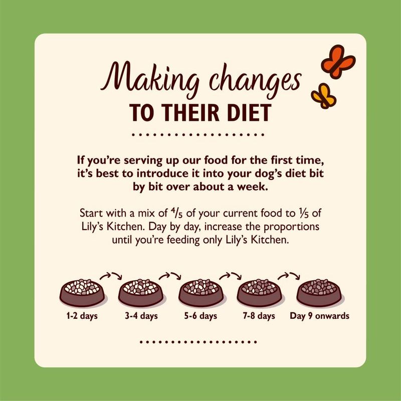 Lily's Kitchen Fishy Fish Pie || Lily's Kitchen || view 6