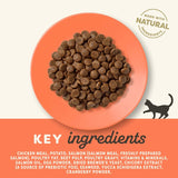 Applaws Cat Food Economy Packs || Applaws || view 6