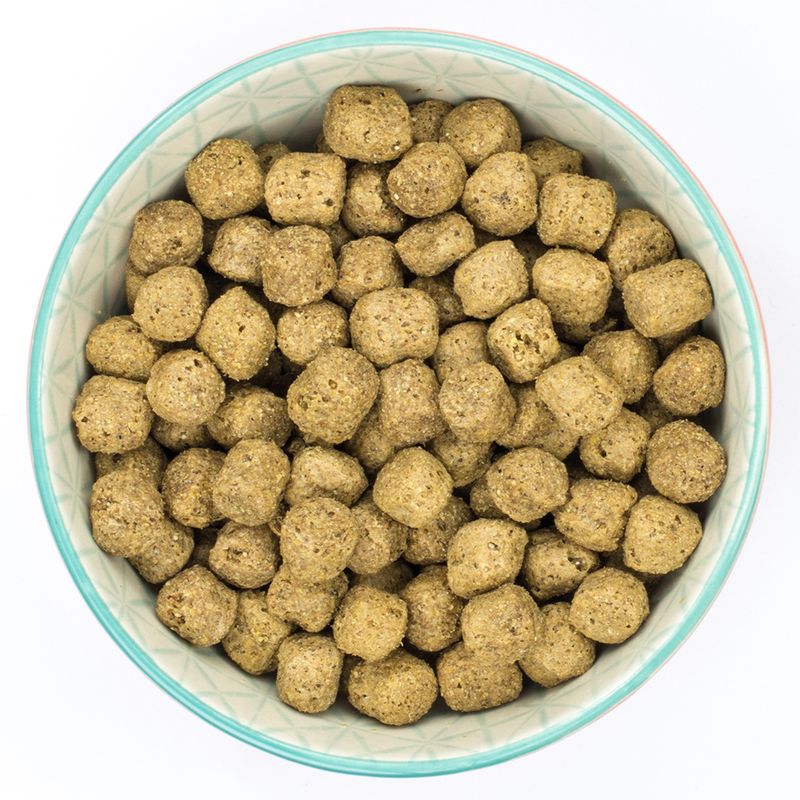 Burns Adult & Senior Sensitive - Chicken & Wholegrain Maize || Burns || view 3