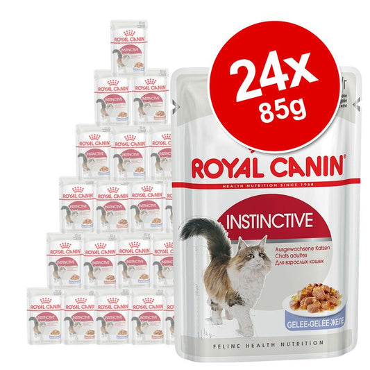 Royal Canin Adult Jelly & Gravy Mixed Pack 24 x 85g || undefined || view 1