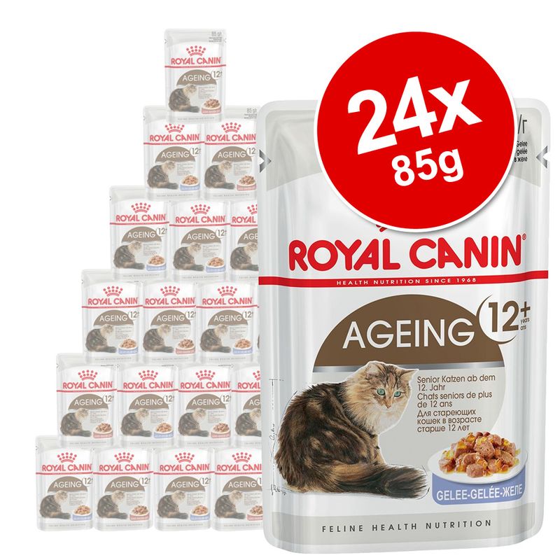 Royal Canin Mature Jelly & Gravy Mixed Pack 24 x 85g || undefined || view 1