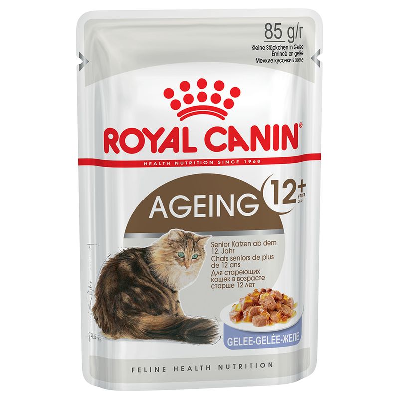 Royal Canin Ageing 12+ in Jelly || undefined || view 2